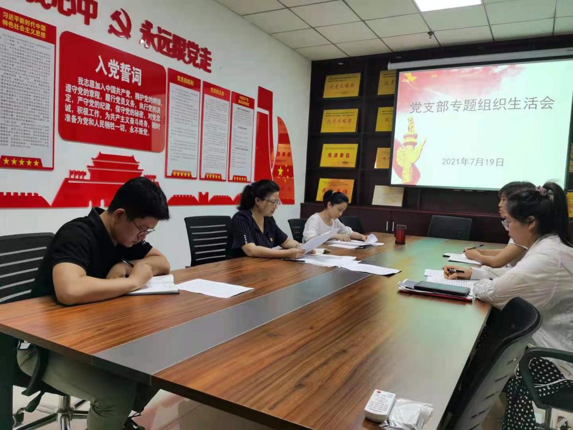 省石化质监站党支部召开党史学习 教育专题组织生活会